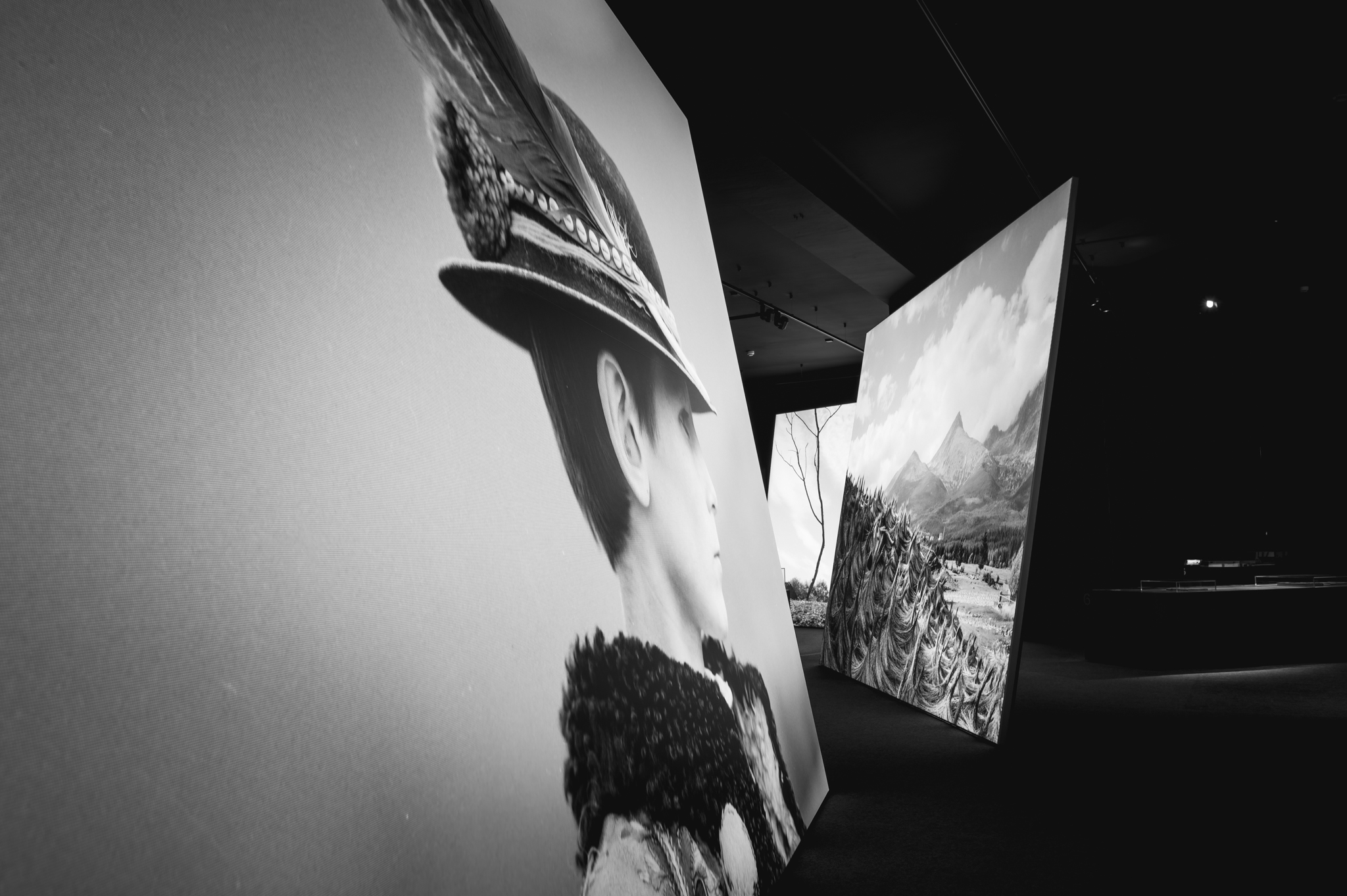 NZ6 2325 DxO DeepPRIME XD2s